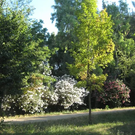 Lägenhet La Casa Di Emy